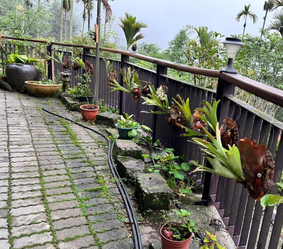 仲明居zhong Ming Ju Taoyi Fang Bed & Breakfast Fanlu Exterior photo